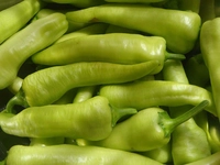 Çarliston Biber Türleri ve Özellikleri